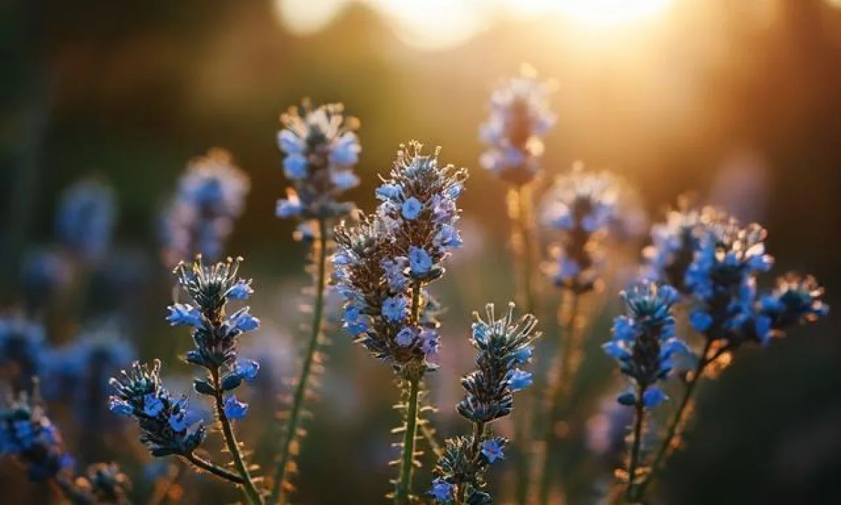 Movix blog nouvelle adresse en avril 2026 : le lien fiable à jour